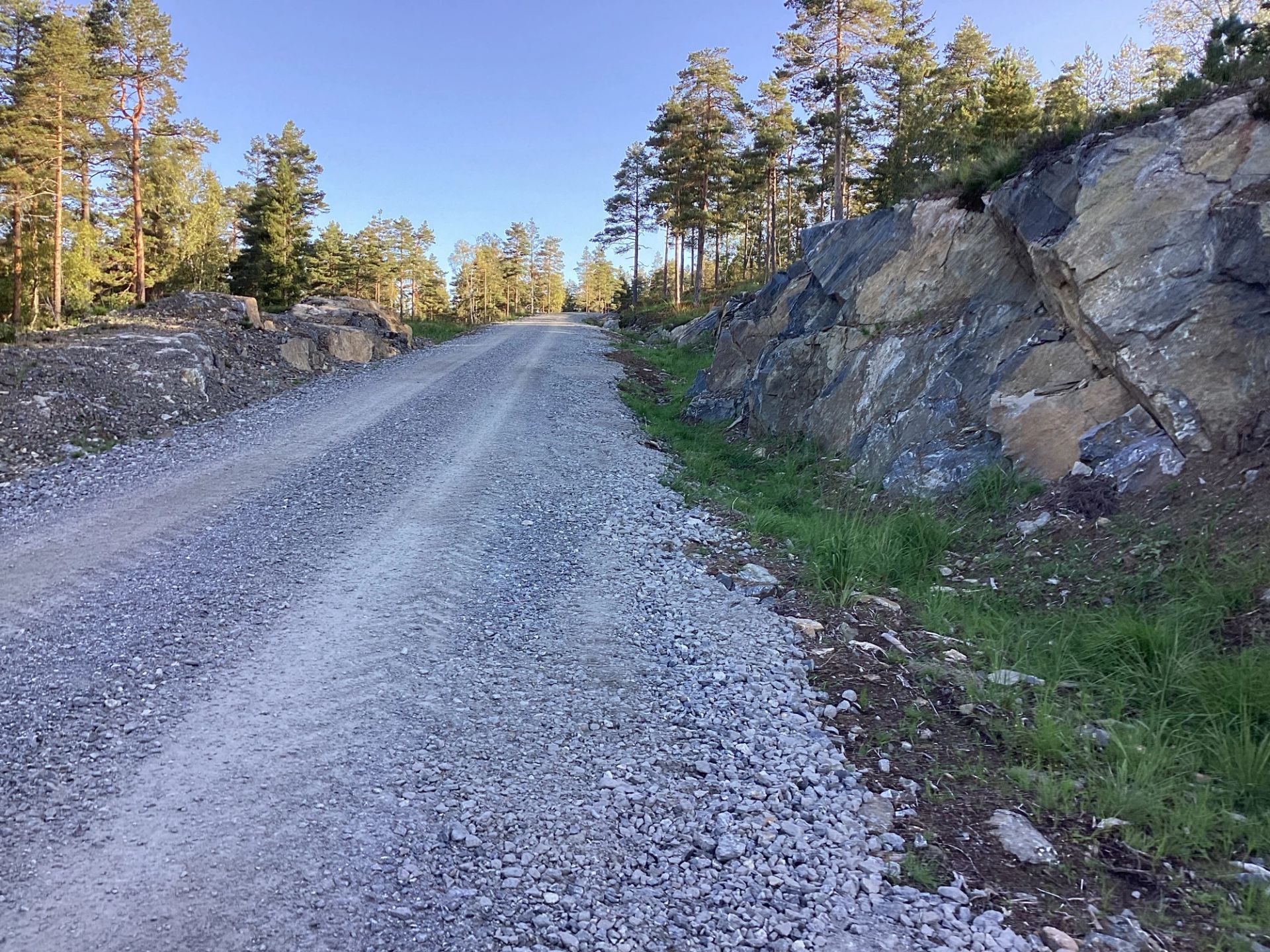 Skogsbilvei