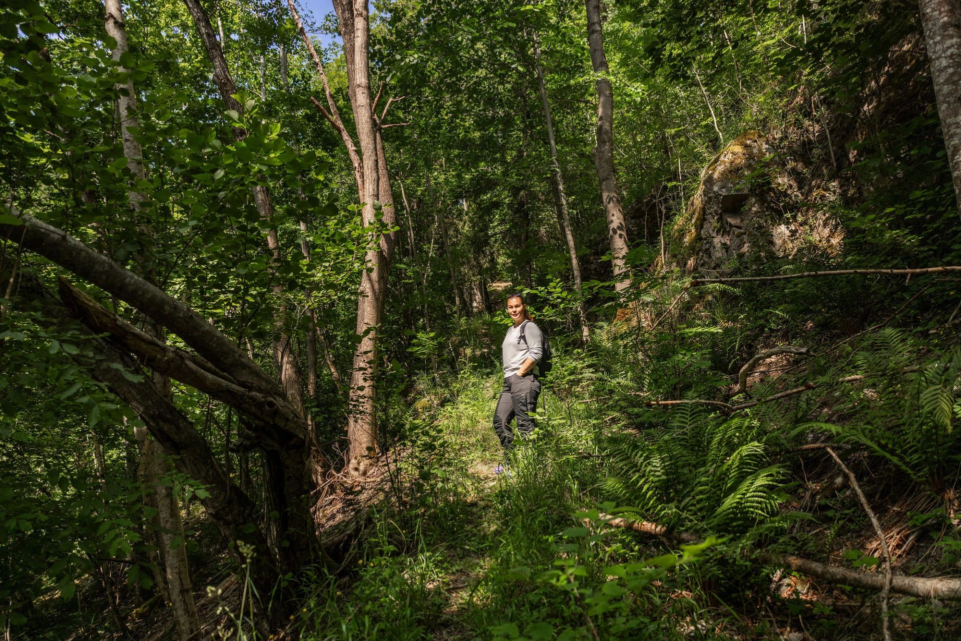Kvinne står midt i frodig skog med gran, løvtrær og bregner.
