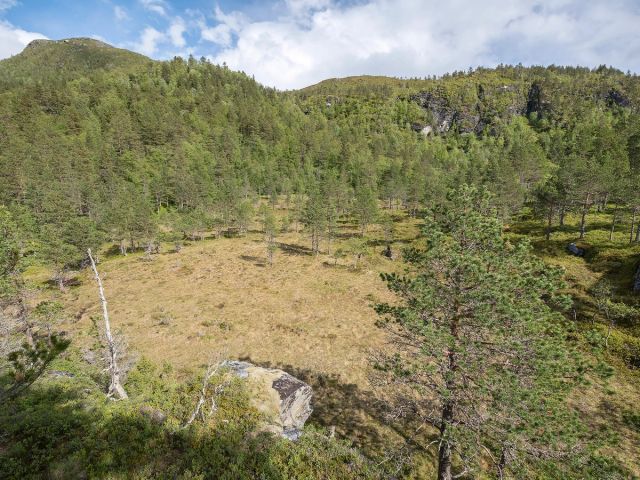 Naturskogkartet gir et kunnskapsgrunnlag om eldre skog i Norge.