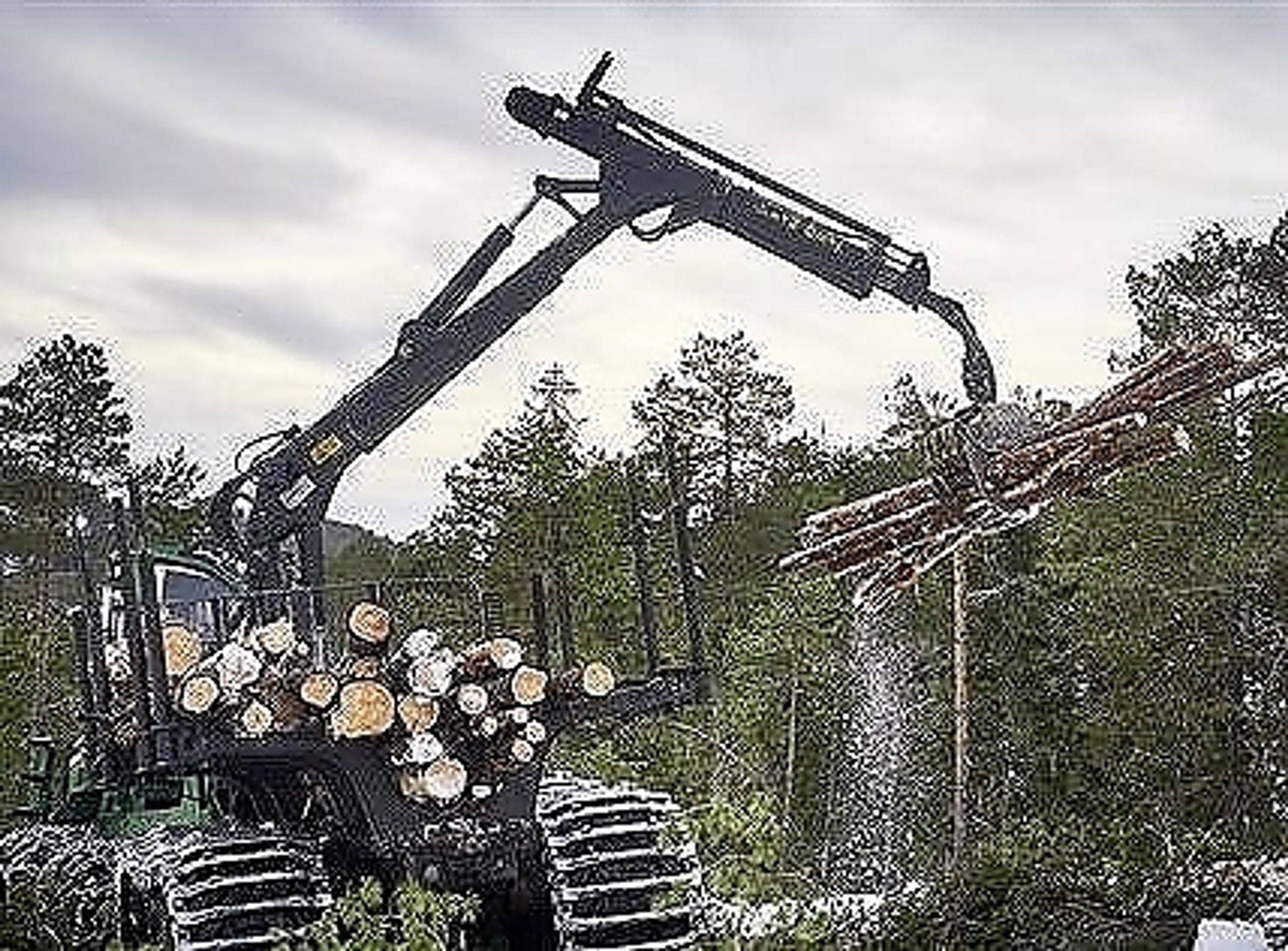 ALLSKOG leverte 945 000 kubikk trevirke til industrien i 2022.