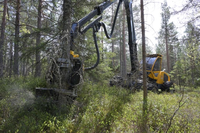 Hogstmaskinen har kran på ti meter. Den sniker seg rundt inne i bestandene som skal tynnes.