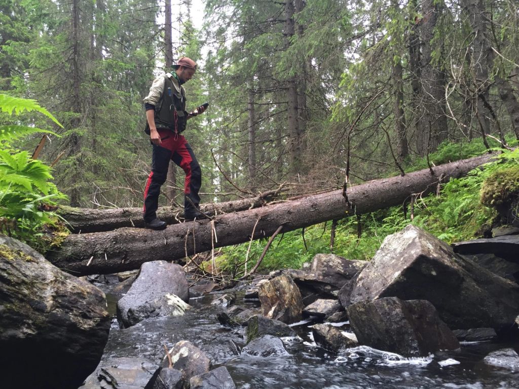 I skogbruksplanleggingen samler man data fra flybilder, laserscanning og i felt. Disse blir så tolket og registrert. Her fra miljøregistrering. Foto: Glommen Mjøsen Skog