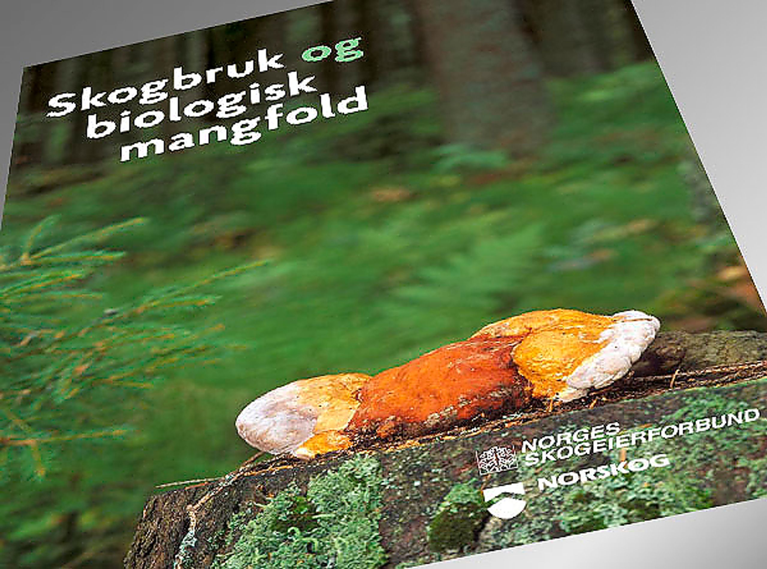 Brosjyren Skogbruk og biologisk mangfold er gitt ut av Norges Skogeierforbund og Norskog.