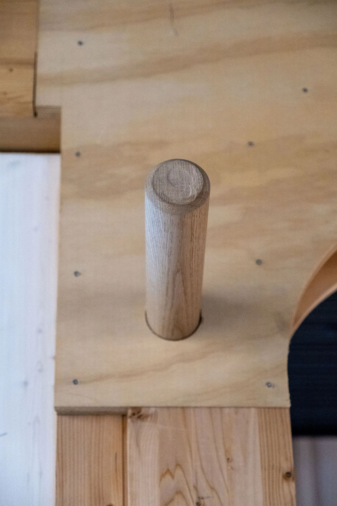 Nærbilde av en treplugg i eik som brukes i konstruksjonen i stedet for skruer og spiker.