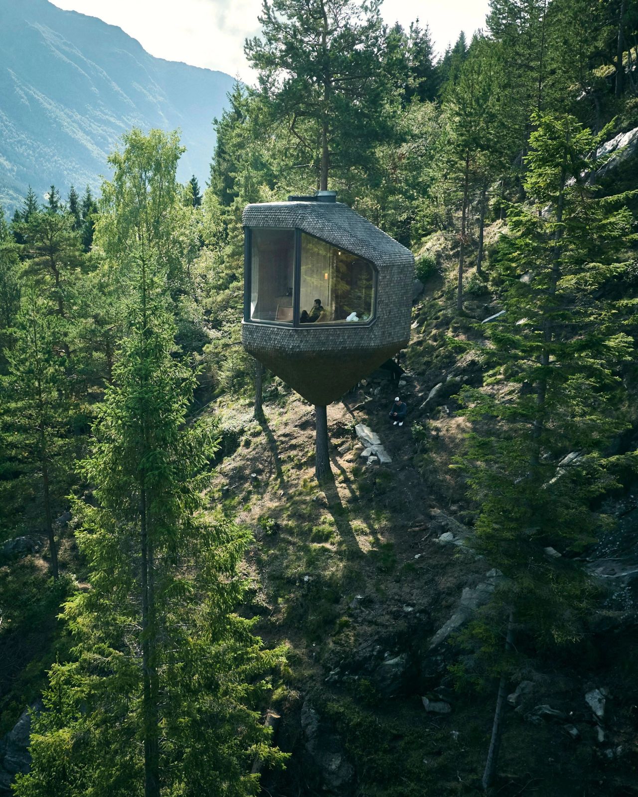 Tretopphytta Woodnest i Odda, bygget mellom grantrær med utsikt mot fjorden.