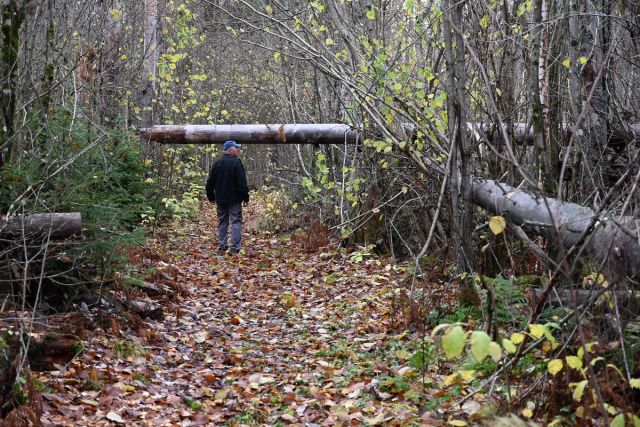 Skogeiernes erfaringer er en viktig del av kunnskapsgrunnlaget for framtidens klimatilpasning i skogbruket.
