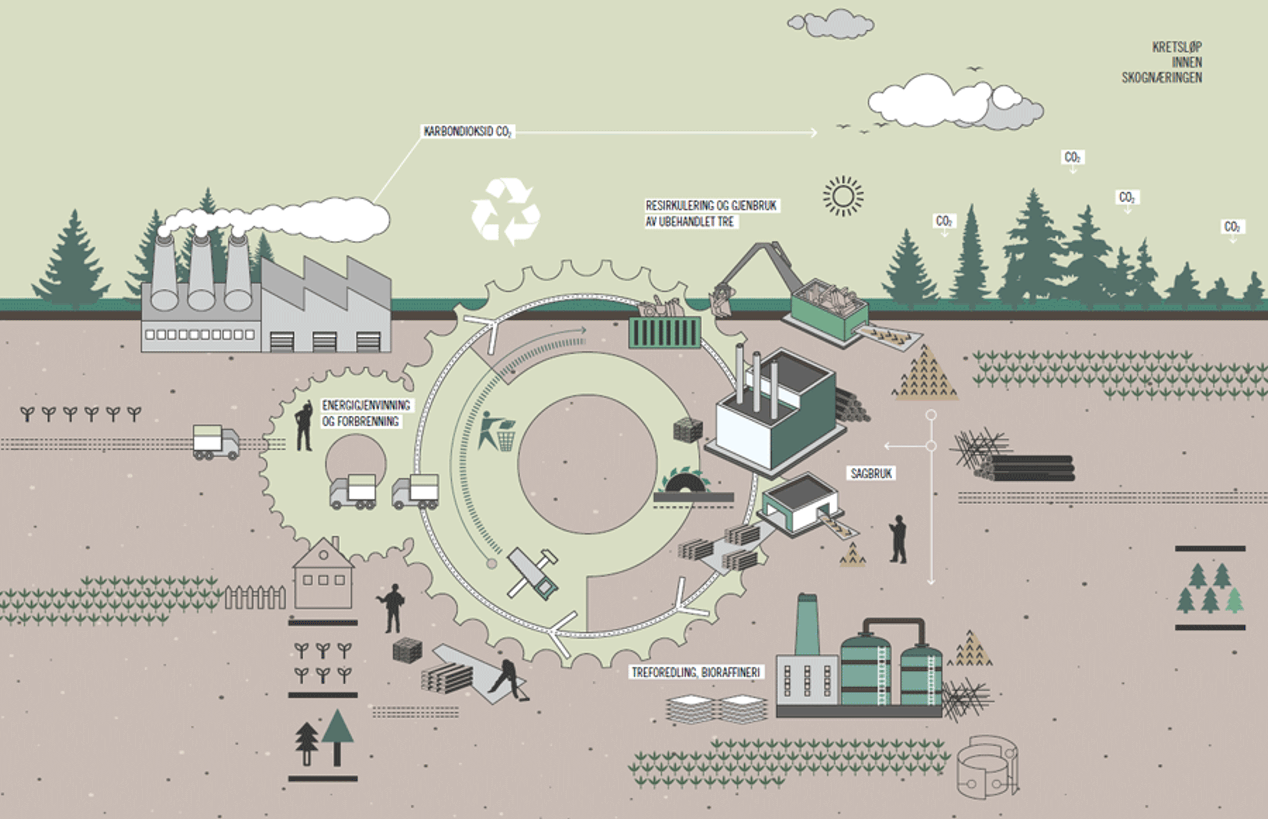 Skognæringens-CO2-kretsløp