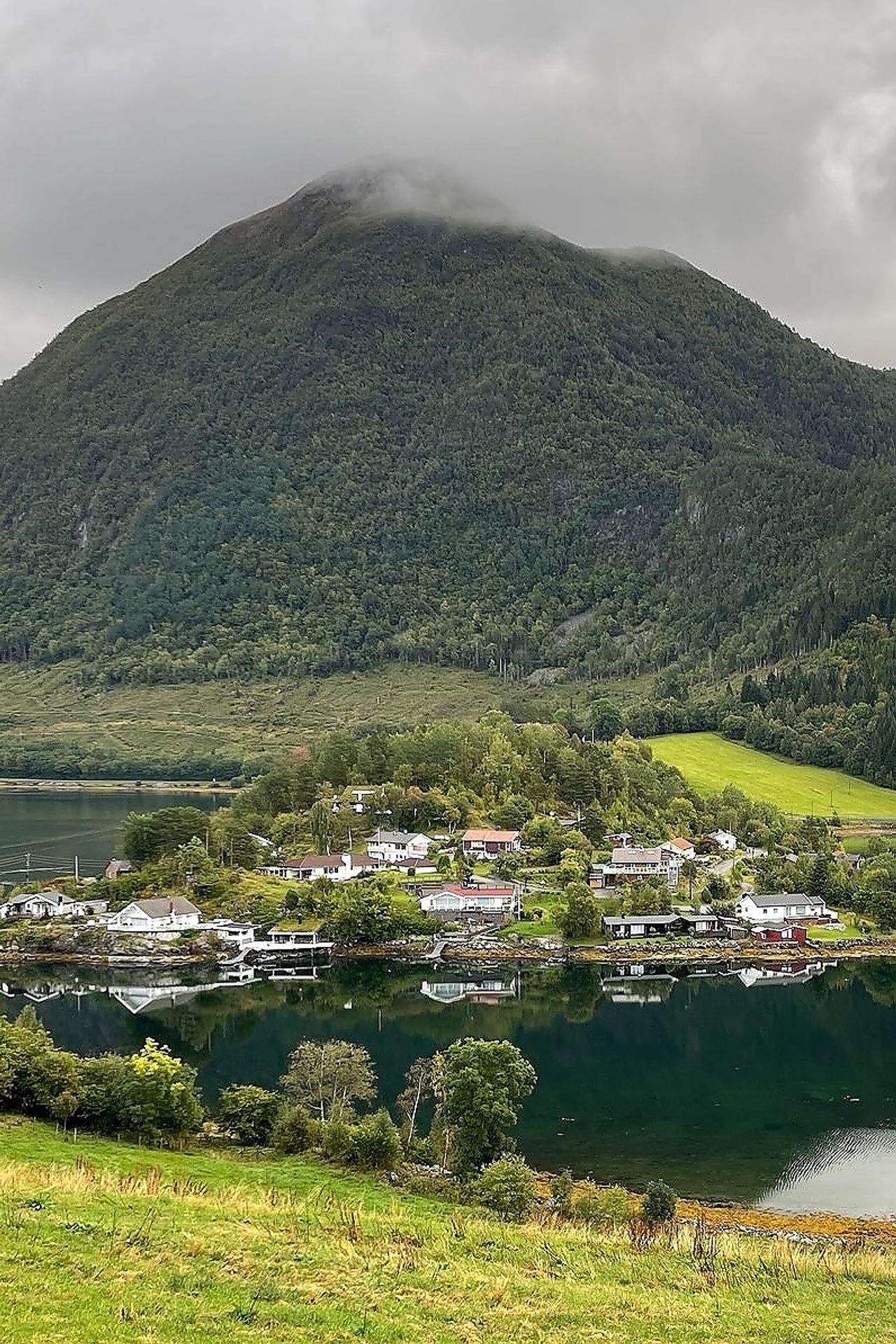Skogen opp i lia på Lerheim har nå fått status som naturreservat. Foto: Privat