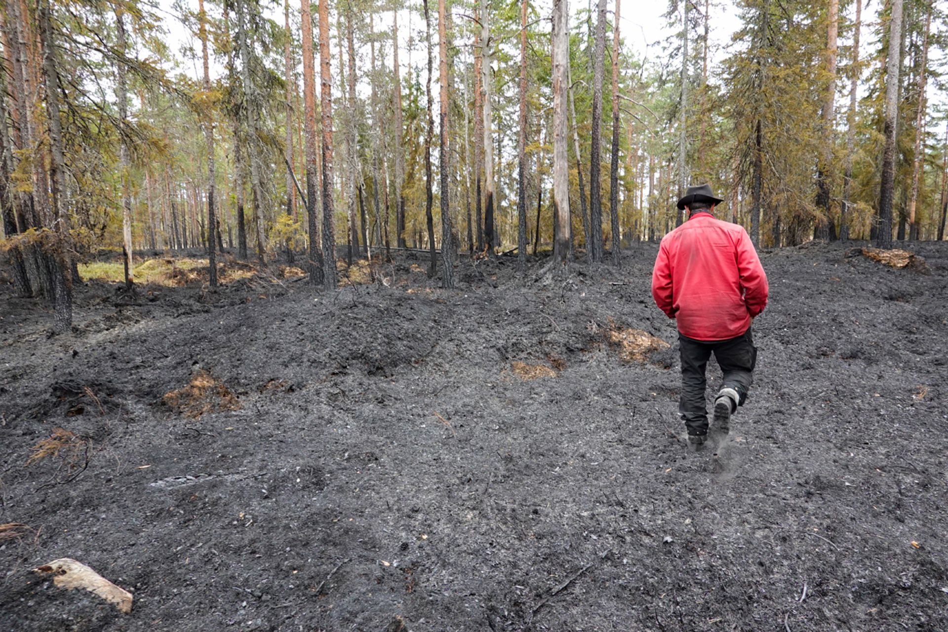 Det er mange ting som skal klaffe for å drive kontrollert brenning. Vindstyrke, tilgjengelig mannskap og bistand fra lokal beredskap er helt sentralt for å gjennomføre naturvernbrenninger.
