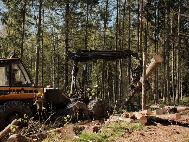 Forordningen trer i kraft 30. desember 2025. Norske myndigheter jobber for å få den innlemmet i EØS-avtalen innen den tid.