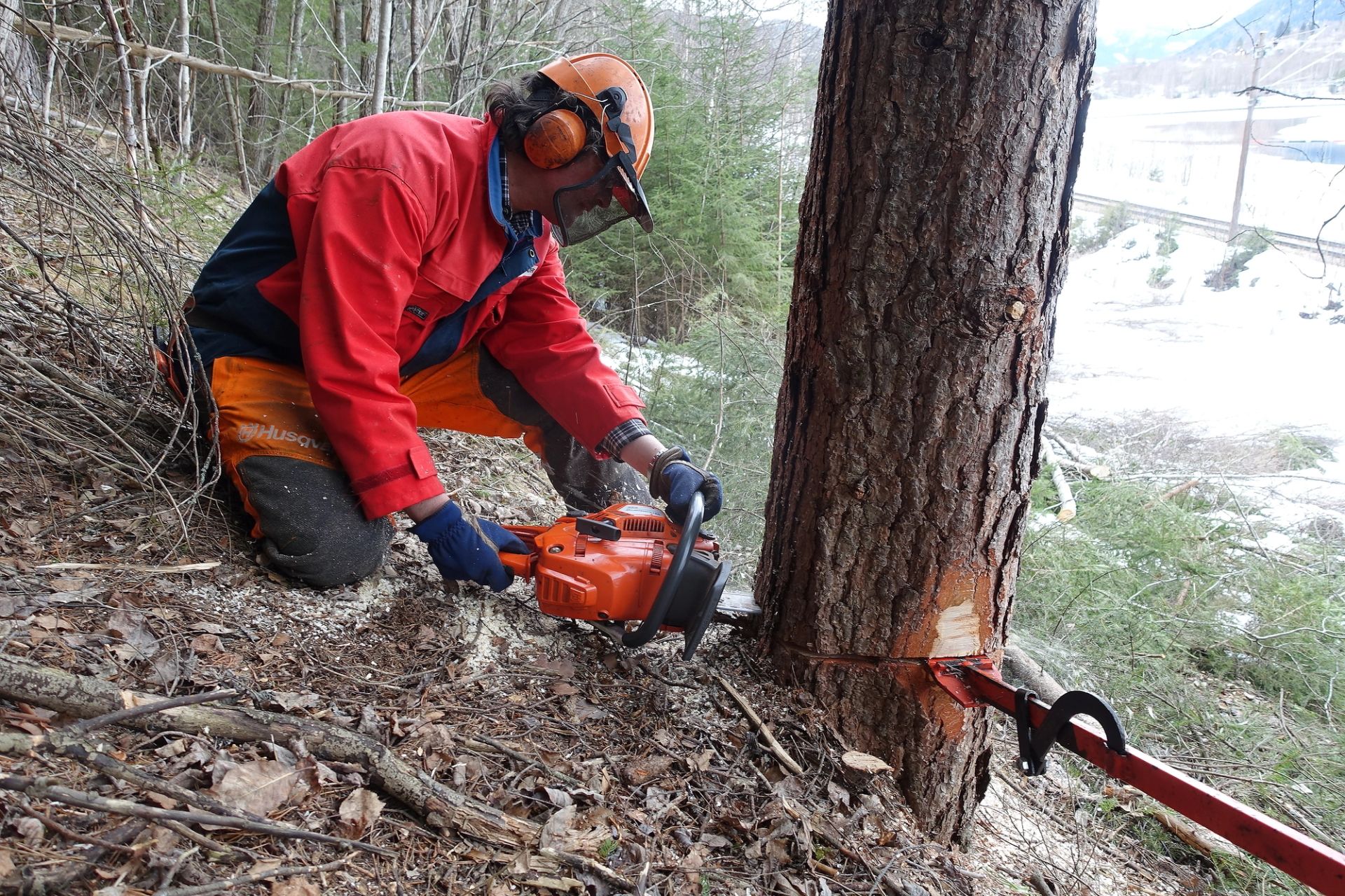 Du må inntil treet når du feller det, men når det faller, skal du trekke deg på skrå bakover.