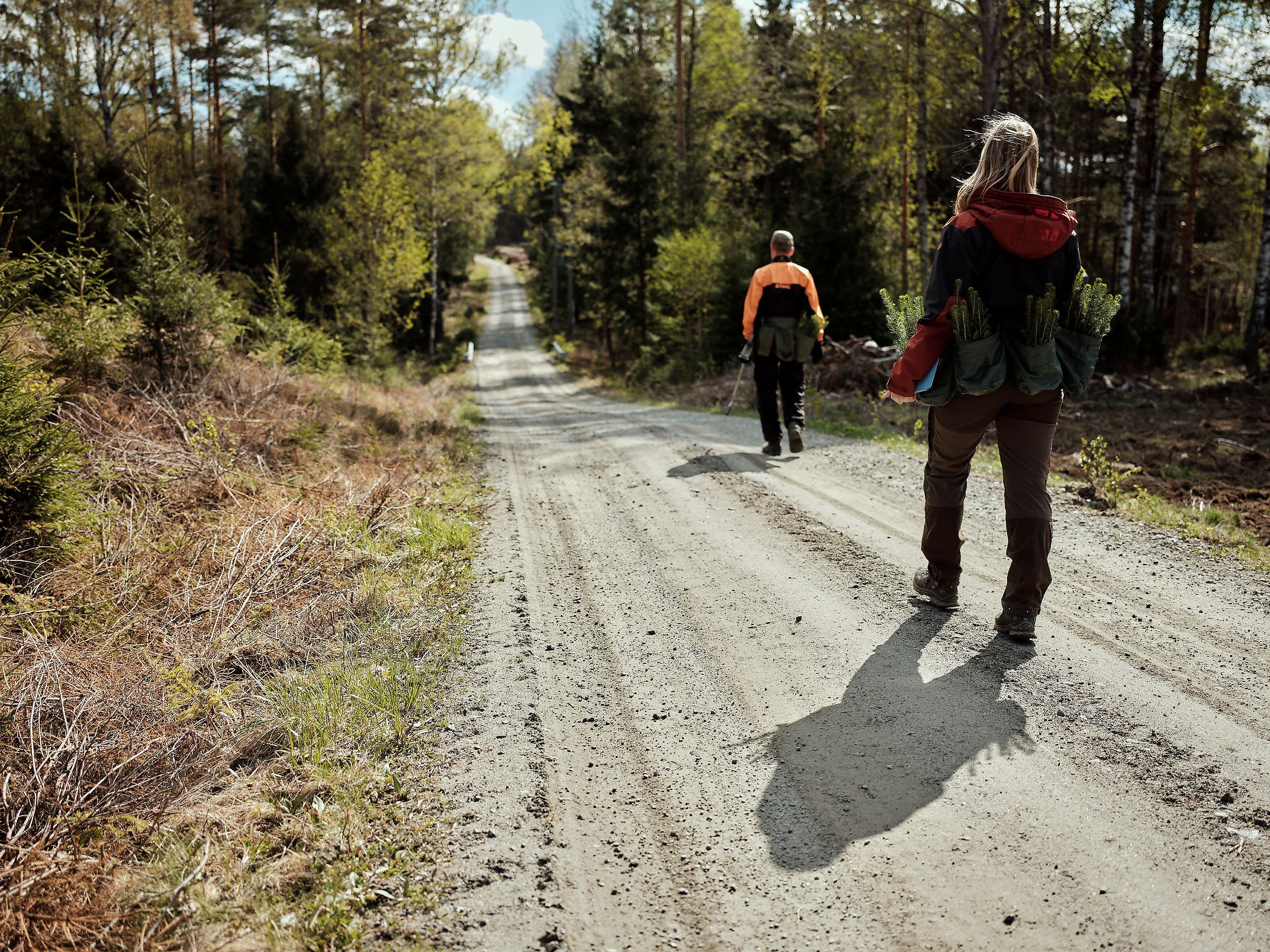 Praktisk talt hele det norske skogbruket er miljøsertifisert. Her er skogeier på vei ut for å plante etter hogst.