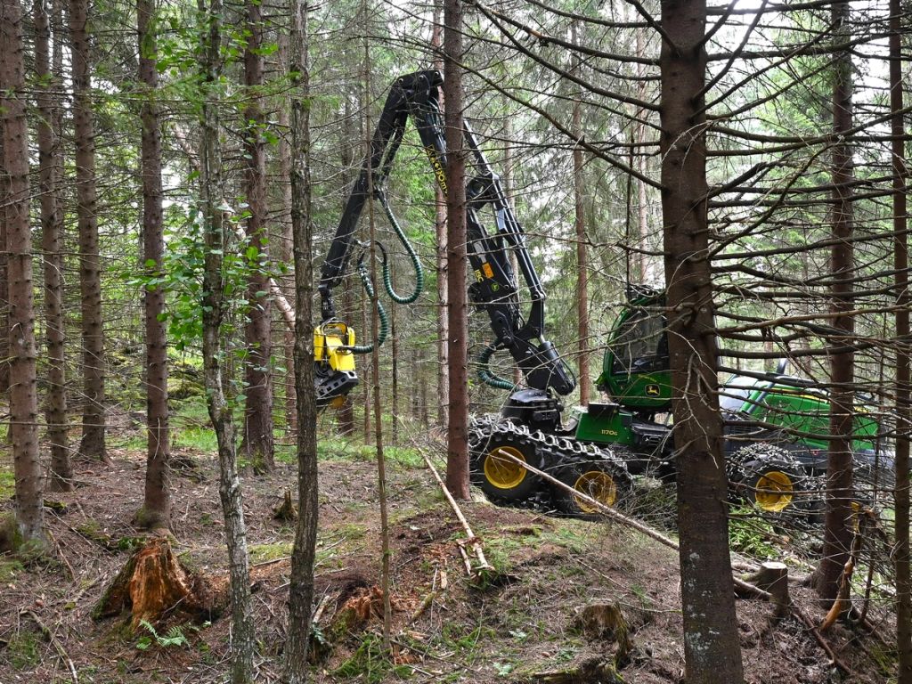 Når skogen hogges, skjer det innenfor tydelige rammer for hvordan arbeidet skal utføres. Både lovverk og sertifisering stiller krav til miljøhensyn i driften. Foto: Roar Ree Kirkevold