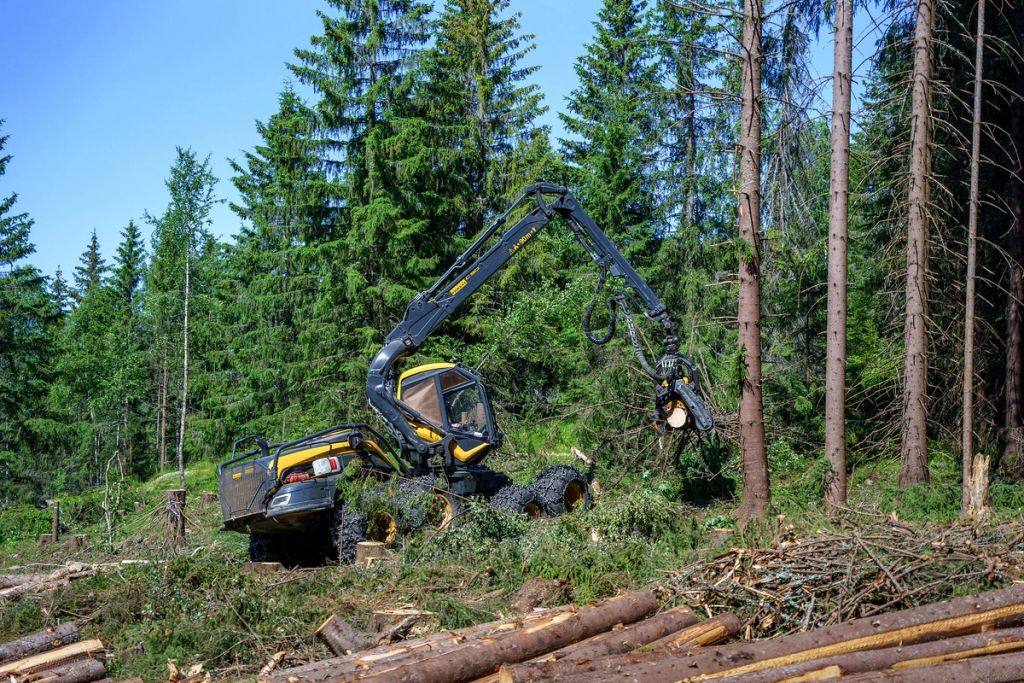 Hogst og tømmerproduksjon i Norge skjer innenfor tydelige lover og miljøkrav. Foto: Carsten Pedersen