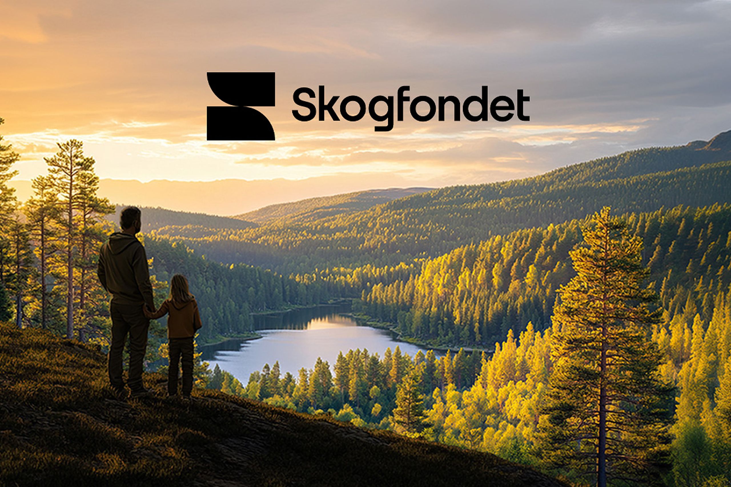 Dette bildet er det første som møter deg på Skogfonet.no.