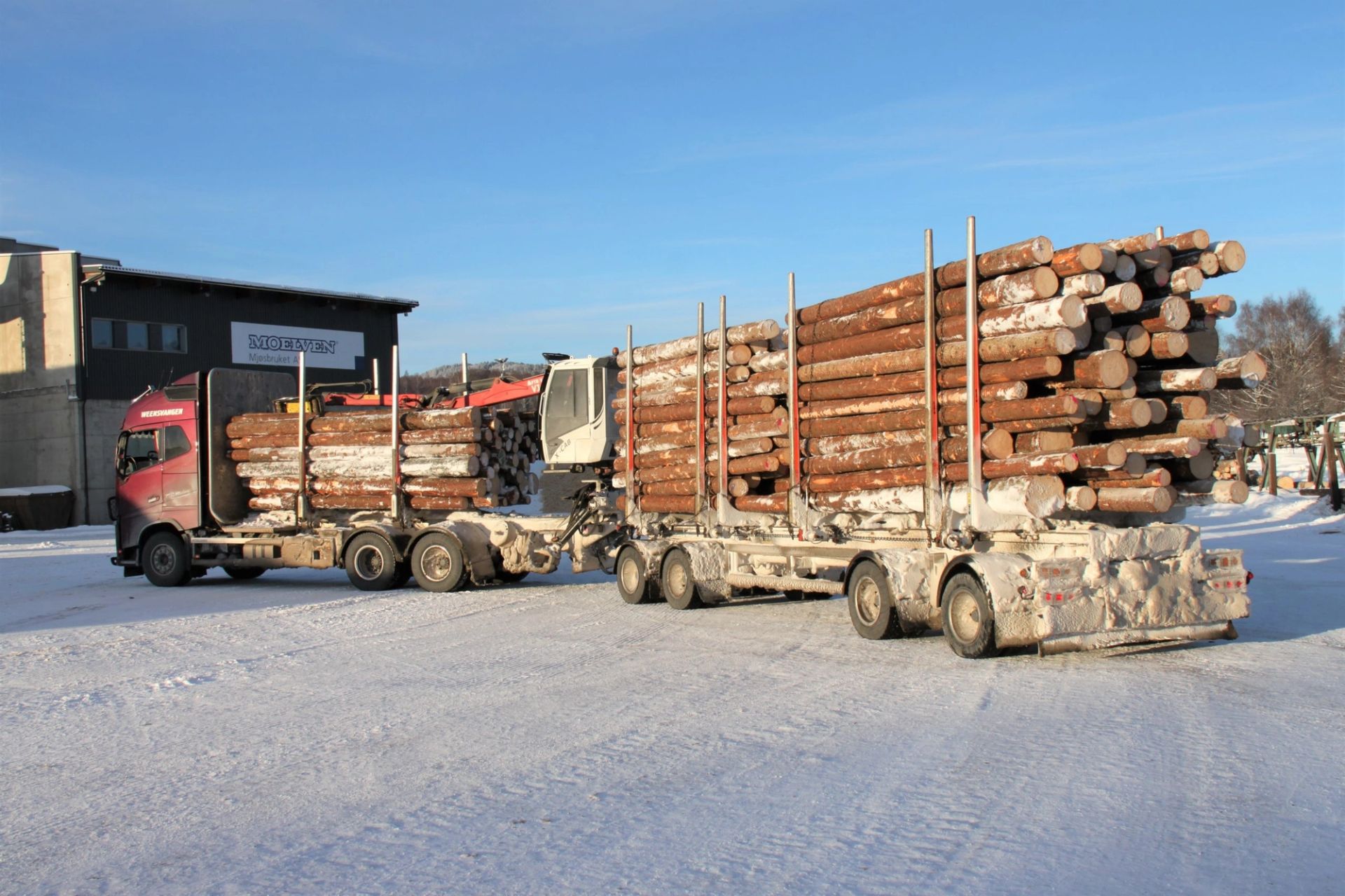 Sjuakslet tømmervogntog med 60 tonn totalvekt. Foto: Dag Skjølaas.