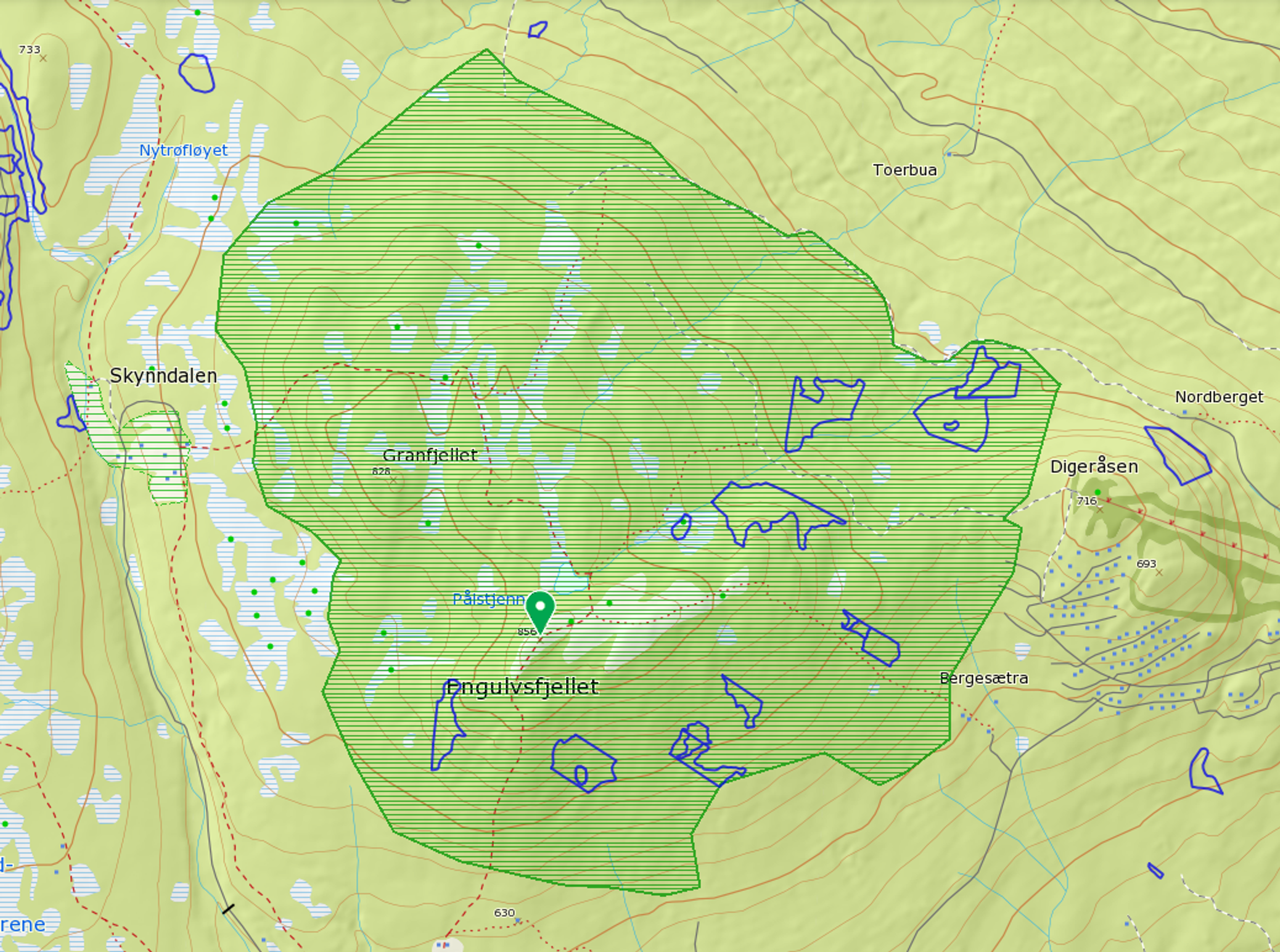Bildet viser en naturtype (den store grønne) og nøkkelbiotoper etter MiS (blå strek) i et område ved Engulvsfjellet i Hedmark, Naturtypen er et større skogområde som beskrives som «av forholdsvis ordinær karakter, men med beskjeden påvirkning fra moderne bestandsskogbruk». Totalarealet i naturtypen er 8 311 dekar og skjøtselsråd i Naturbase har vært: Lokaliteten bør settes av til fri utvikling uten hogstinngrep.