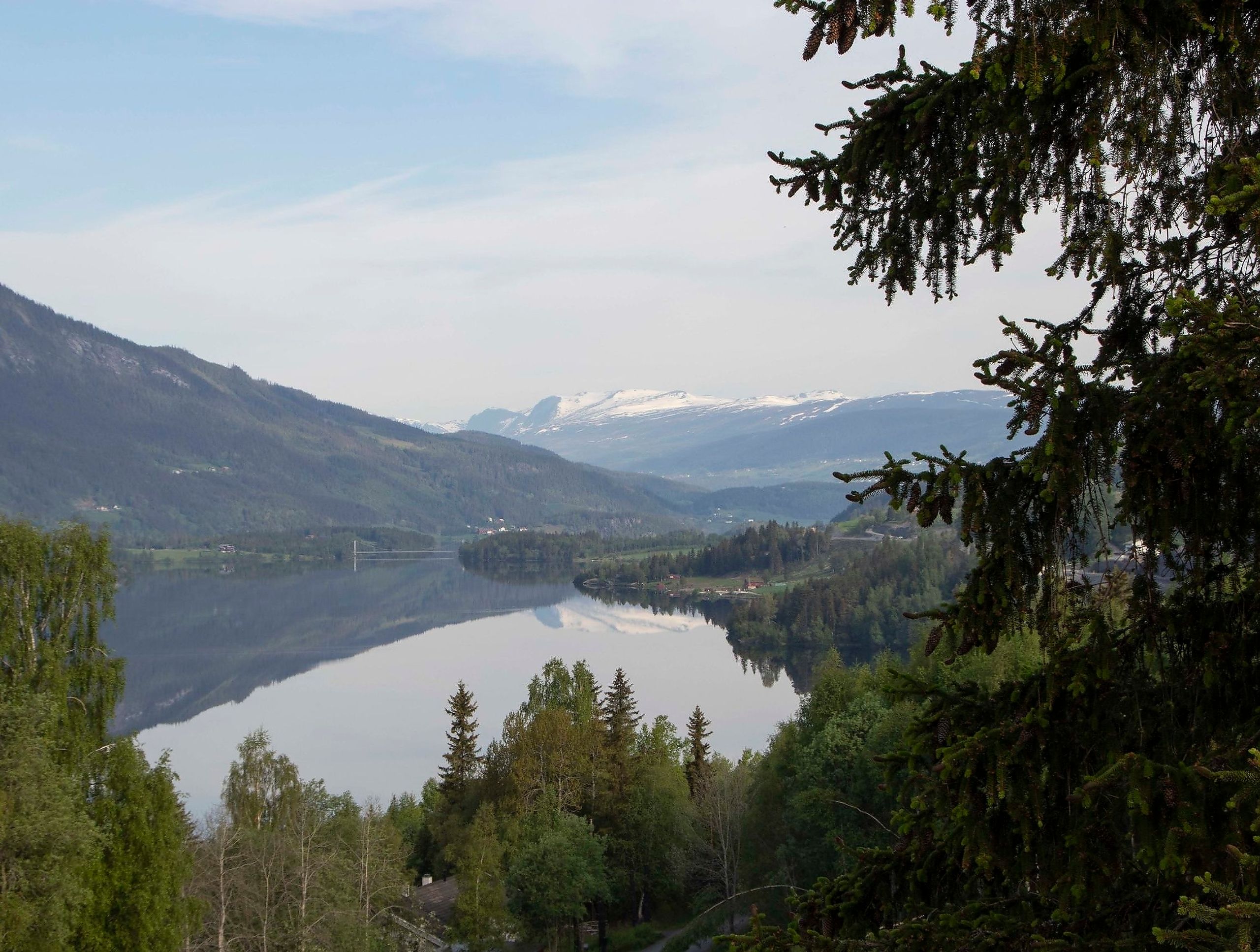 Vi har tre ganger så mye skog i Norge nå som det vi hadde for hundre år siden.