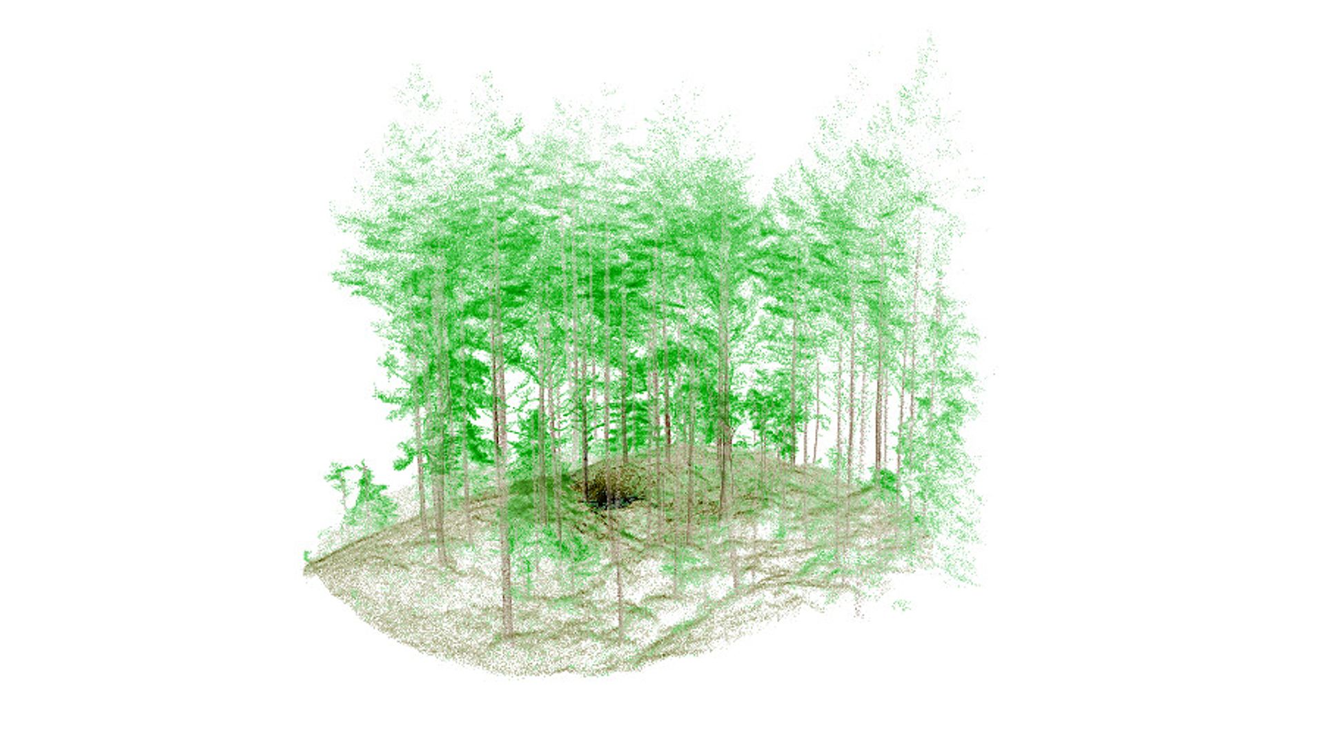 Punktsky fra laserskanning av skog. Metoden gir detaljert informasjon ned på enkelttrær, og er særlig nyttig når man skal planlegge lukket hogst. Den kan brukes til å vurdere om skogen egner seg, når det bør hogges og hvordan hogsten bør gjennomføres. Illsutrasjon: SmartForest.