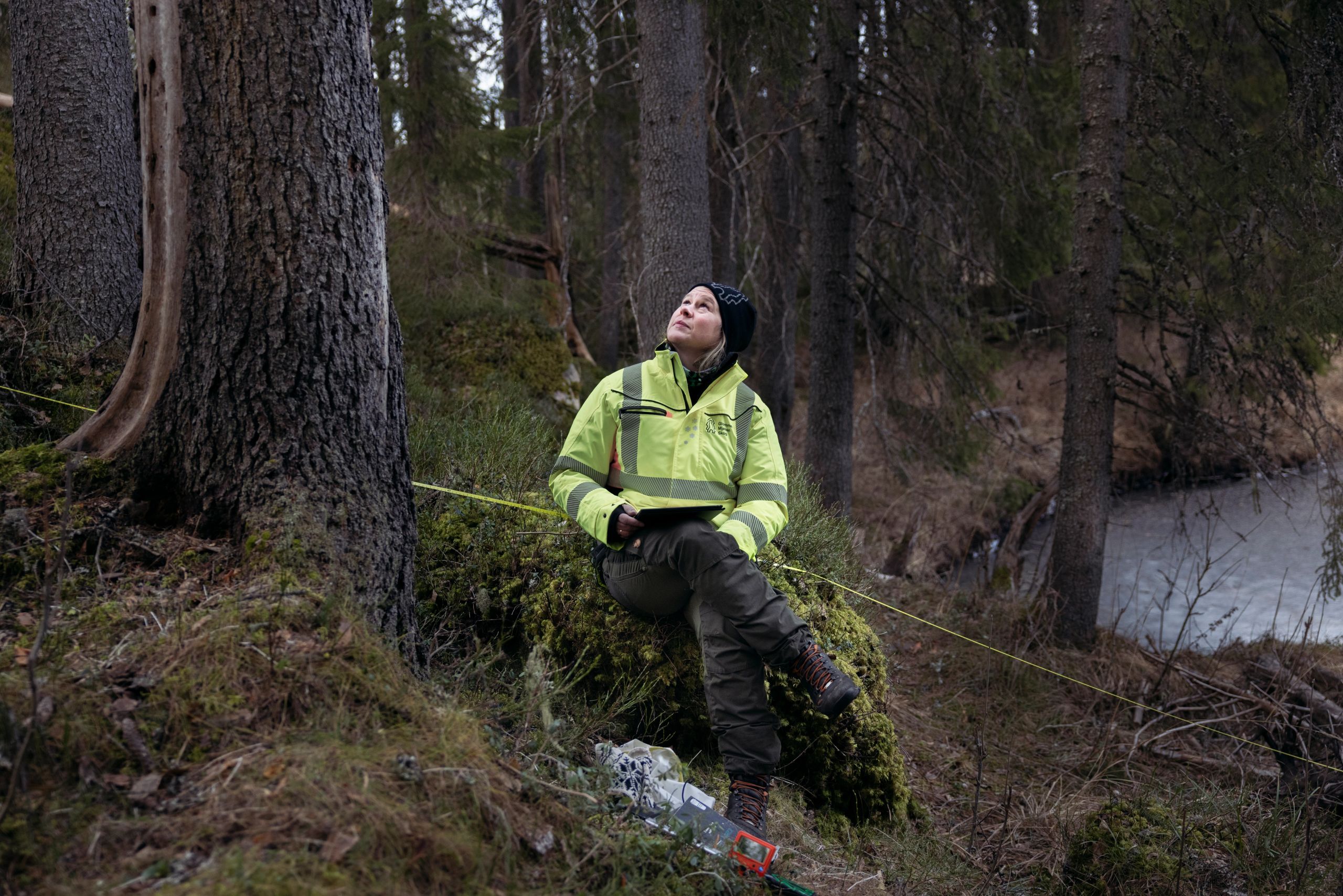 Ane Christensen Tange sitter ved et tre med nettbrett og ser opp i trekronene.