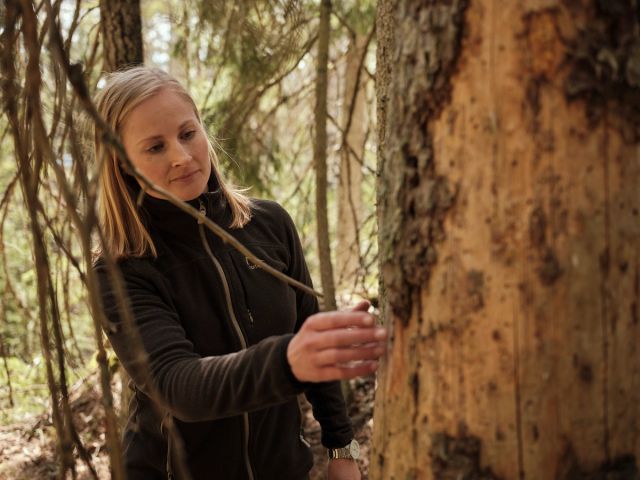 Norges Skogeierforbund er den sentrale næringspolitiske organisasjonen for skogeiersamvirkene Allskog, AT Skog, Glommen Mjøsen Skog og Viken Skog. Skogeiersamvirkene har om lag 30 000 medlemmer og står for over 80 prosent av tømmeromsetningen i Norge.