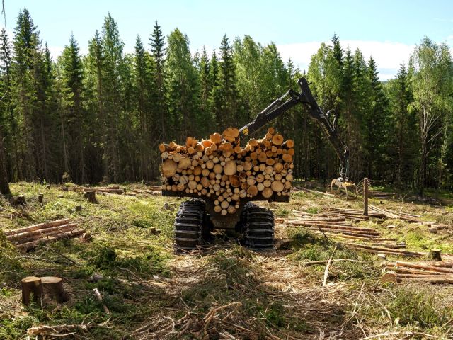 Utvalget som har gjennomgått regelverket om motorferdsel i utmark og vassdrag, overrakte sin utredning til klima- og miljøministeren 21. mai.