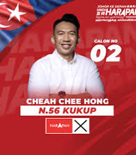 谢志鸿是民联