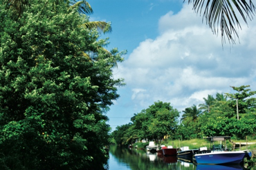 Arbres et embarcations sur le canal des Rotours