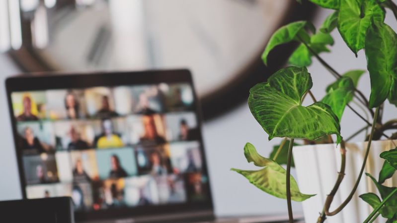 How to Build Niche Communities on Bluesky in 2026