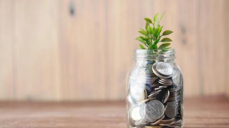 From Posts to Profits: How Creators Monetize Bluesky