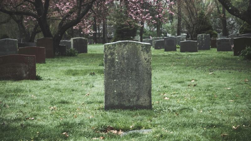 Is Bluesky Dying? Growth Data and 2026 Platform Outlook