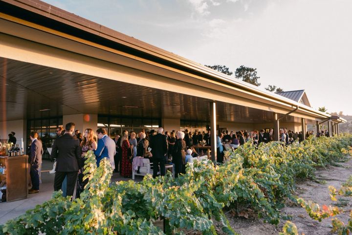 The Barrel Room veranda at CASS Winery, Paso Robles, above the vines