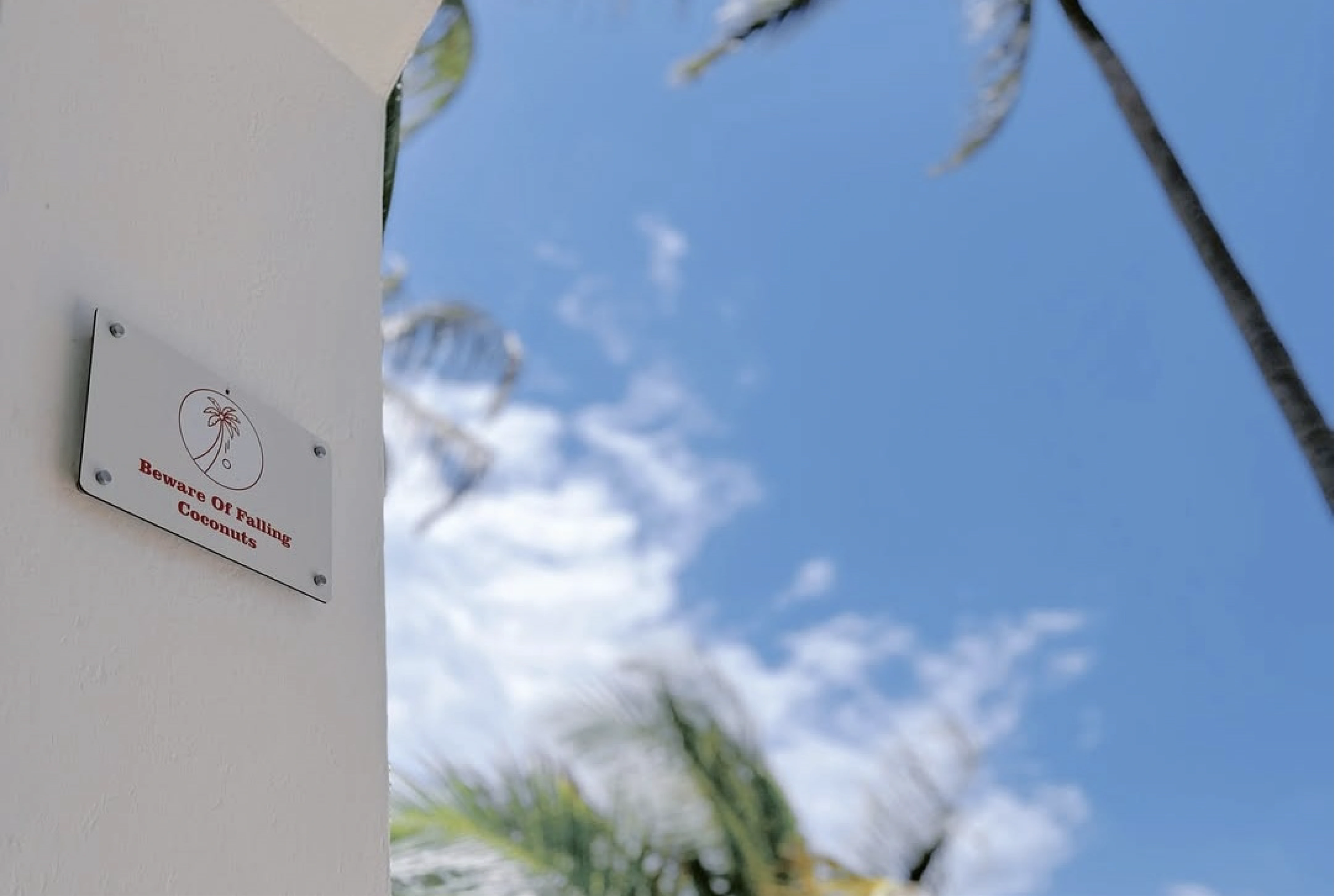 A small branded Sawa Sawa wall plate set against open sky and a palm frond