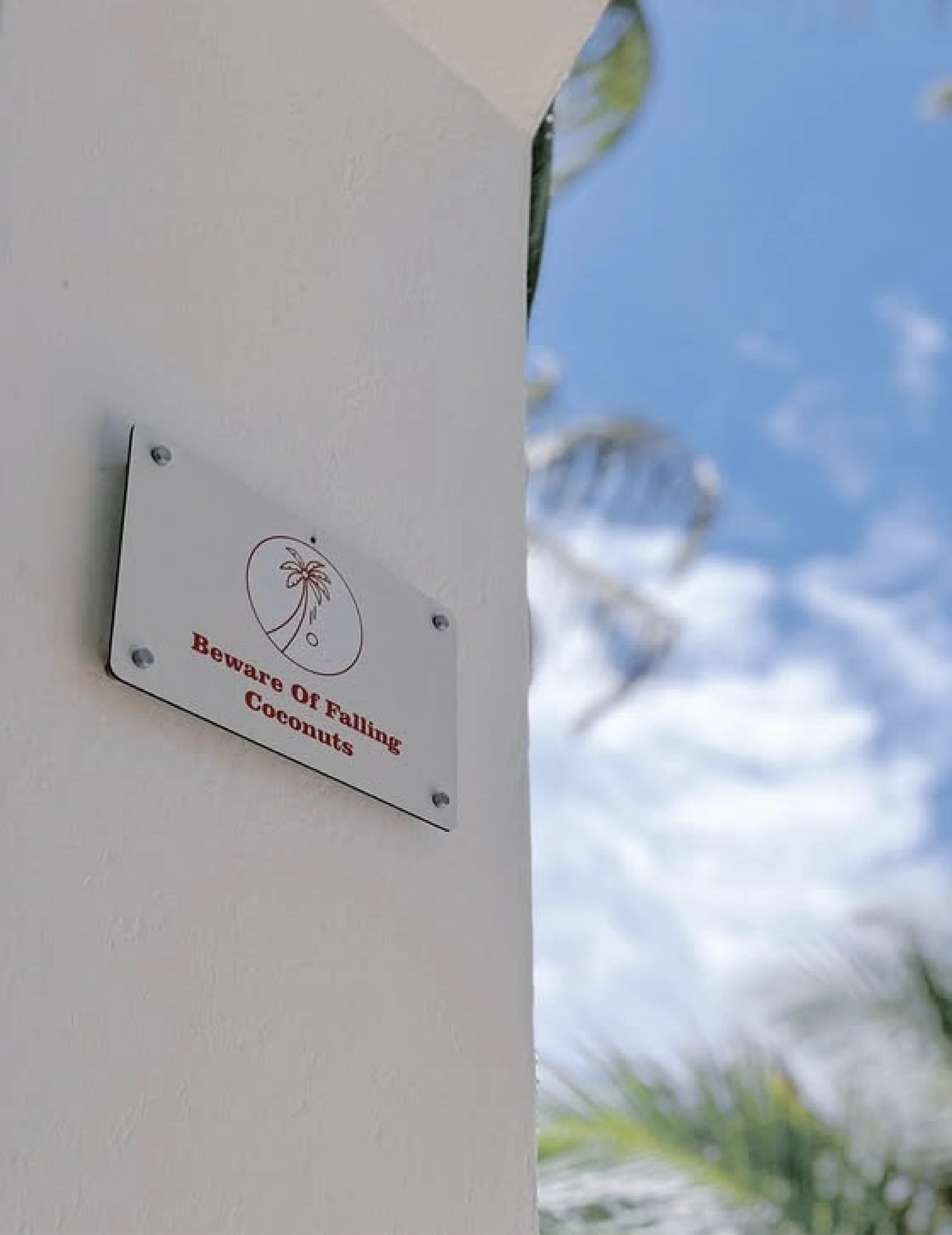 A small branded Sawa Sawa wall plate set against open sky and a palm frond