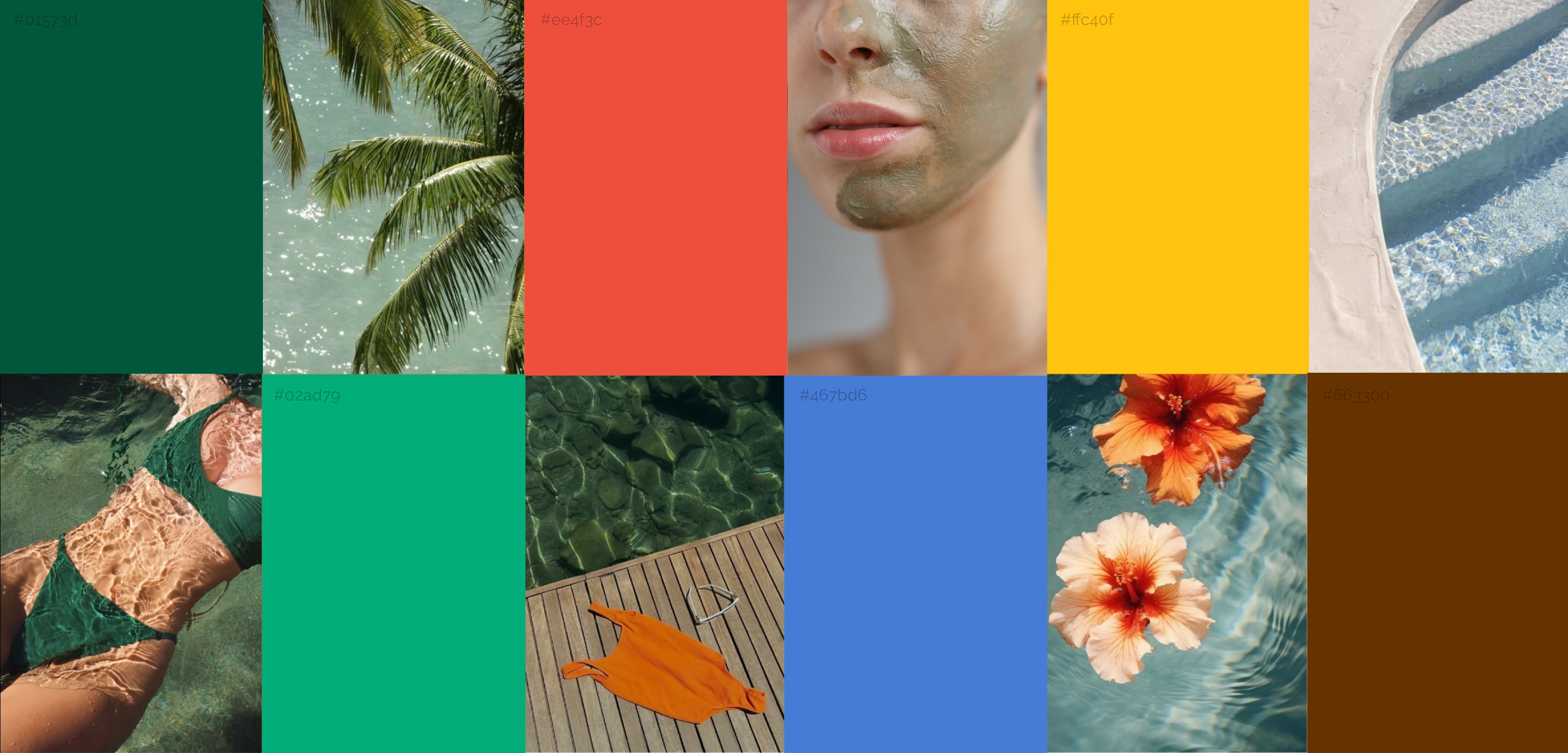 Zion Health colour and mood board — earthy greens and browns with coral, yellow, and teal accents across botanical and skin tiles