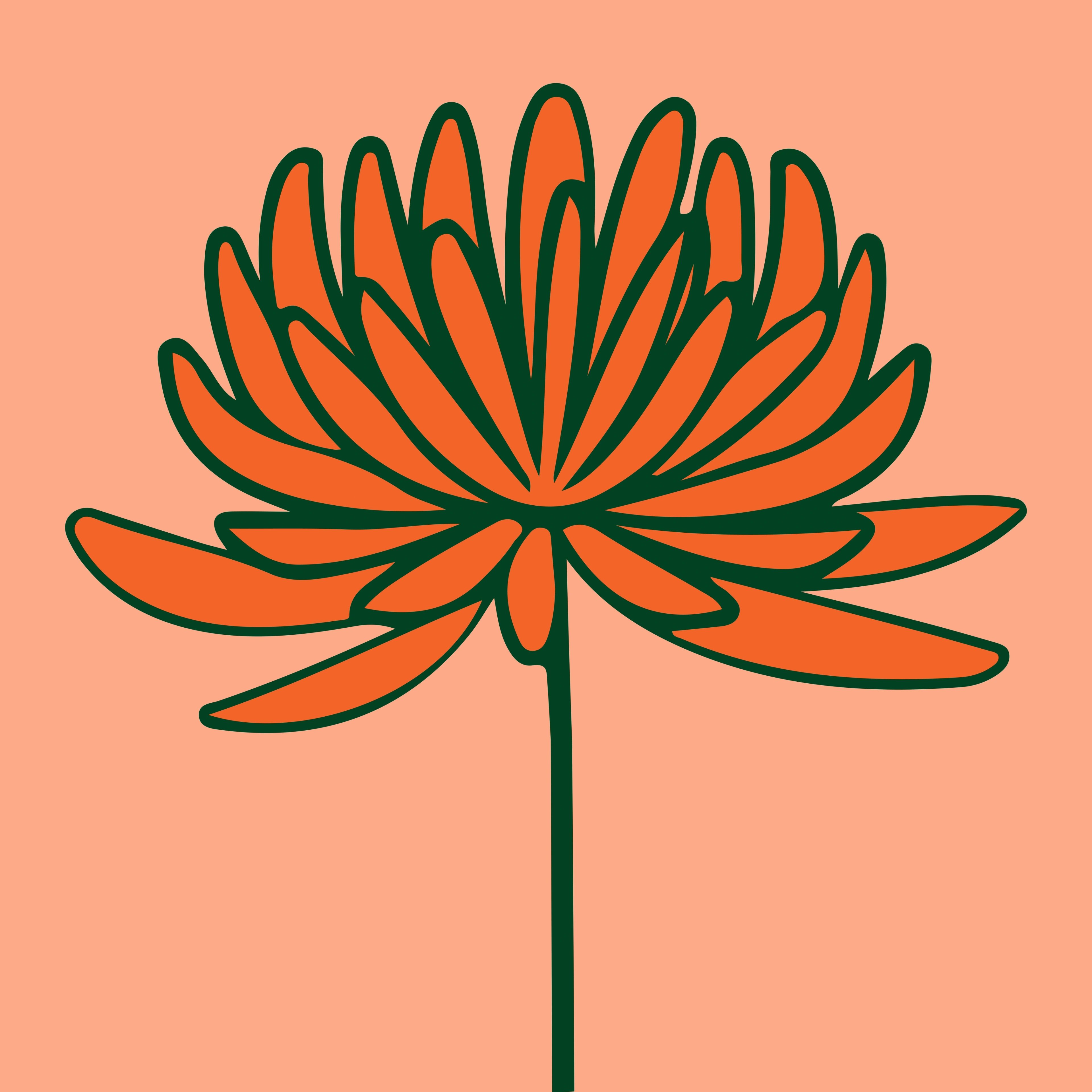 The Great Bellingrath Harvest floral logo mark, an orange many-petalled chrysanthemum line illustration on a peach field