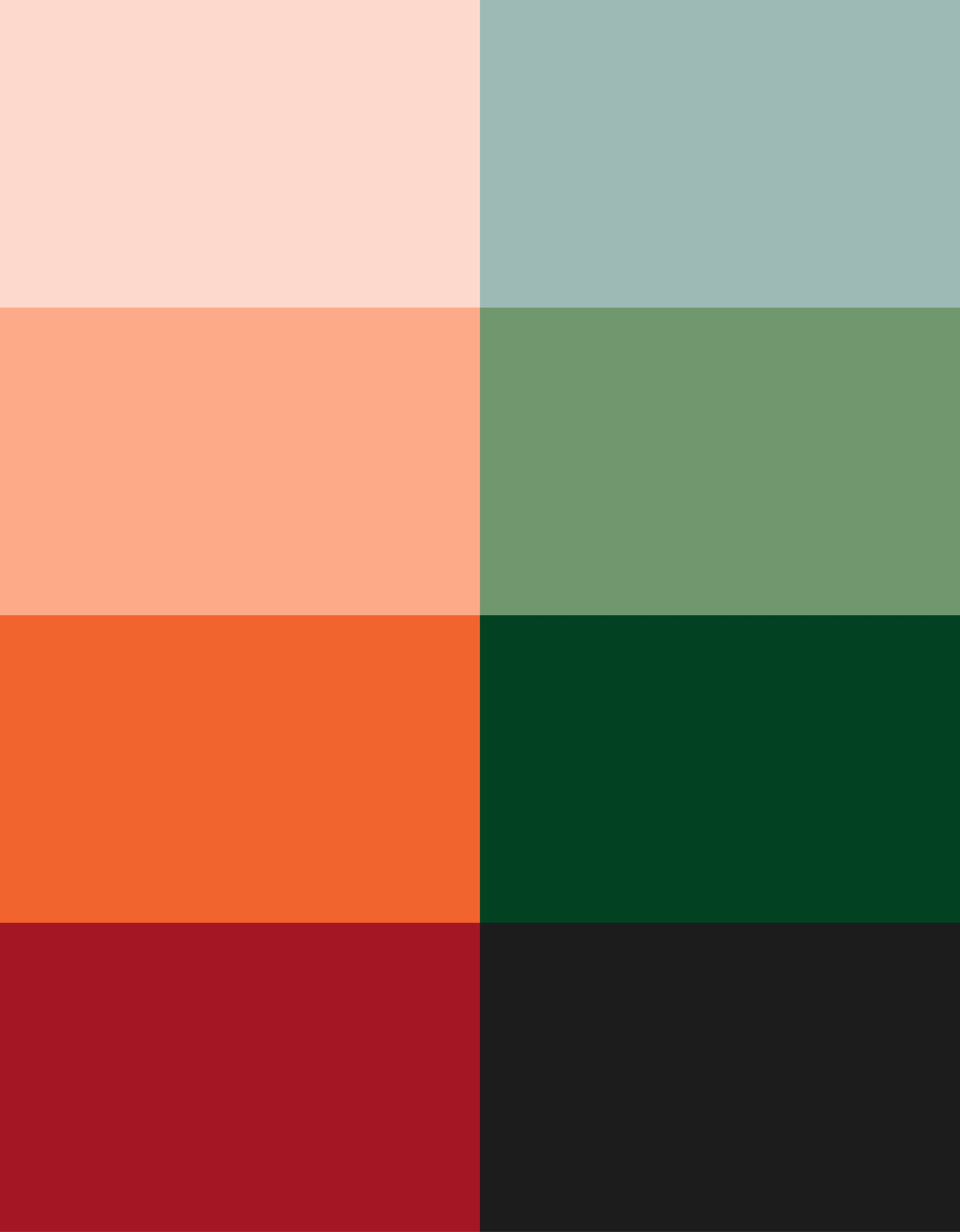 The Great Bellingrath Harvest colour palette of tangerine, garden green, deep red, blush and charcoal swatches