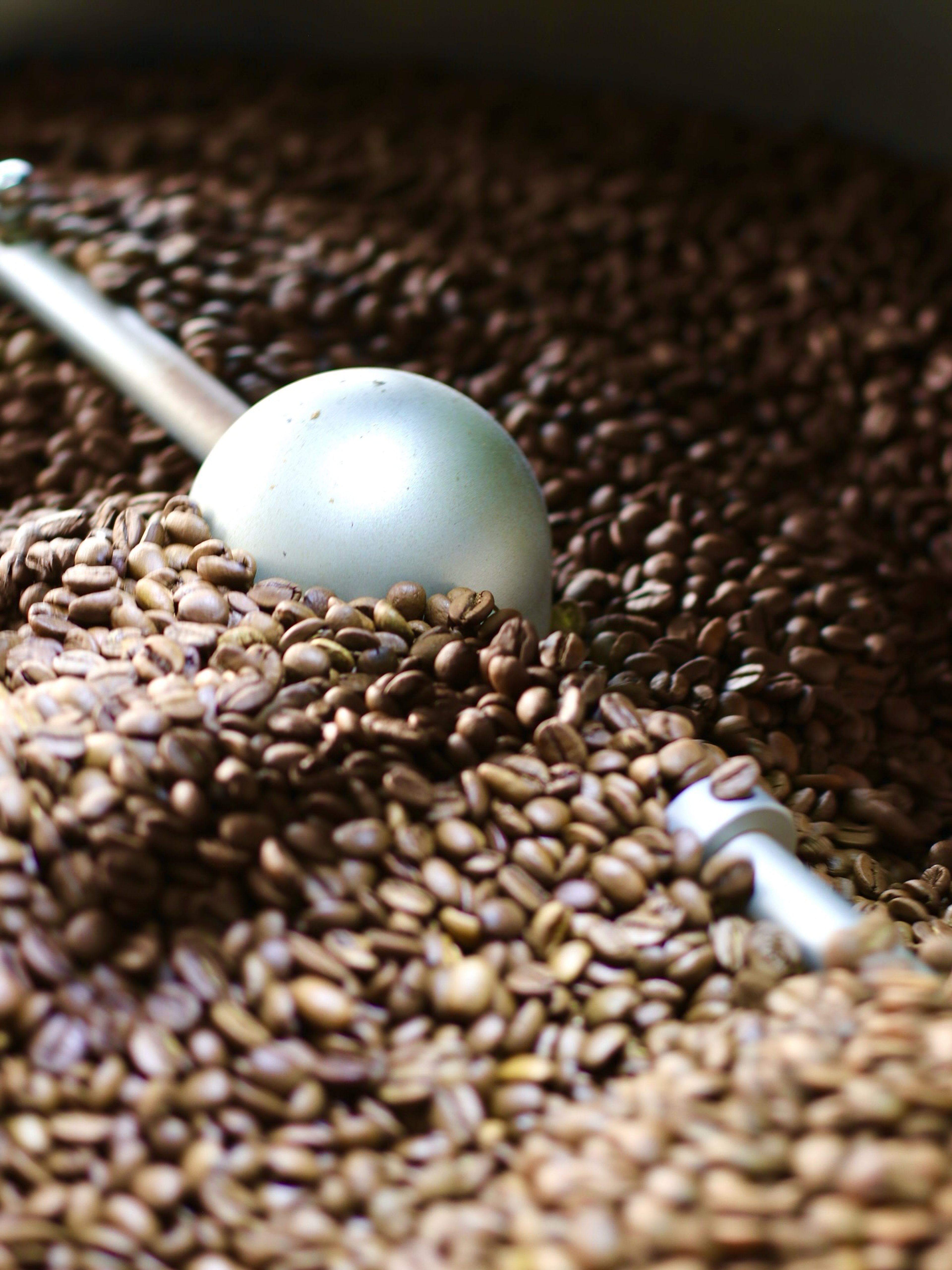 A close-up of Berry Roasters beans tumbling in the roaster under a scoop