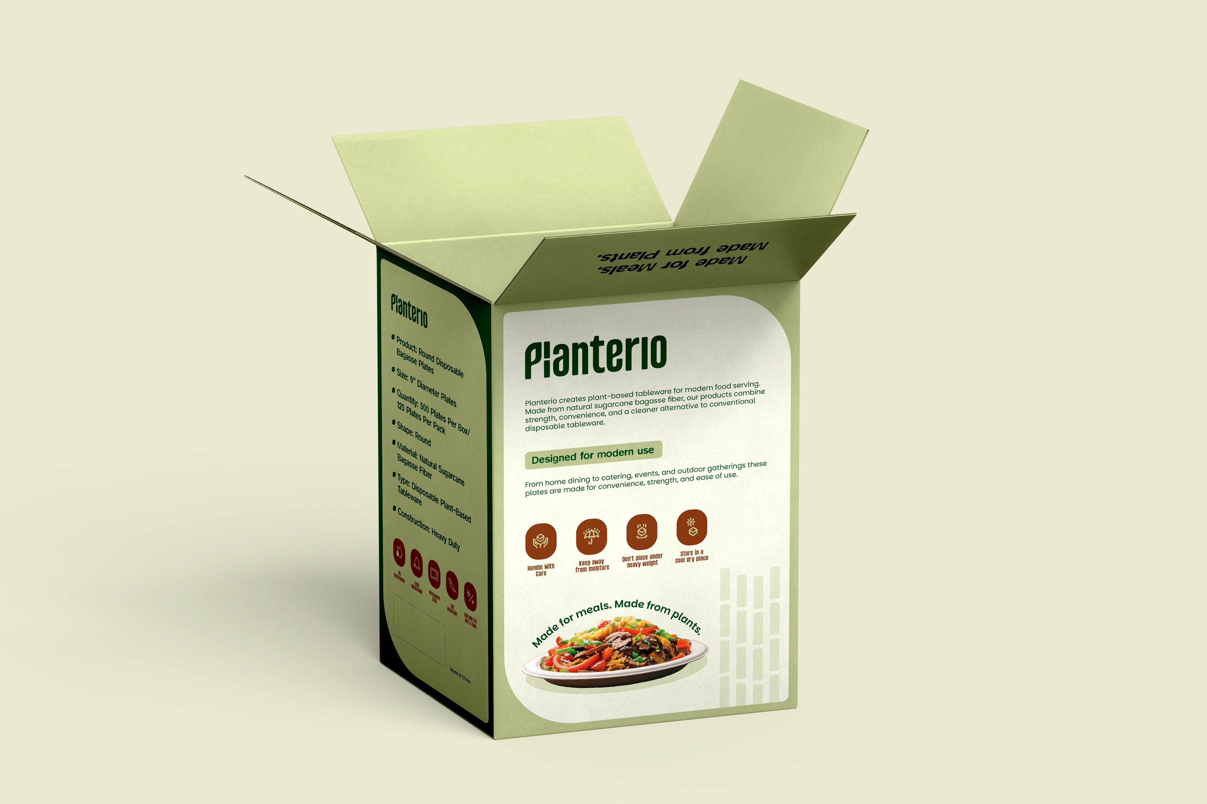 Planterio bagasse-plates box shown open-flap on cream