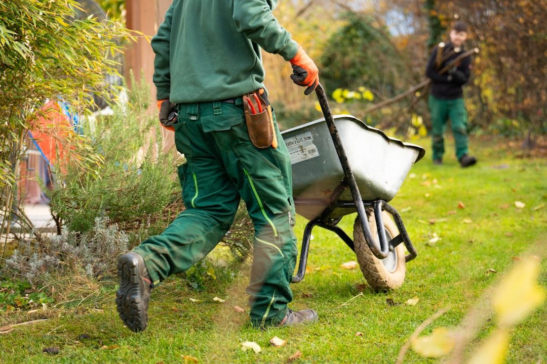 Google Ads for Commercial Landscape Contractors: A Comprehensive Setup Guide