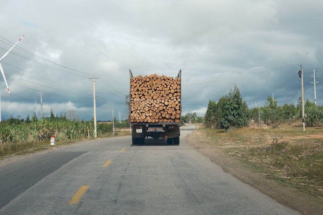 Google Ads for Lumber Transportation Services: A Comprehensive Setup Guide