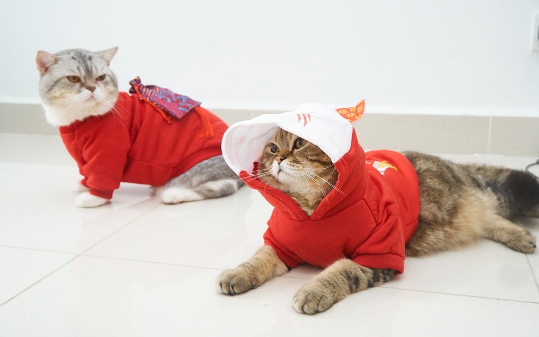 Google Ads for Designer Pet Apparel: A Comprehensive Setup Guide
