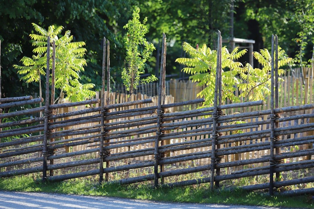 Google Ads for Fence Contractors: A Comprehensive Setup Guide