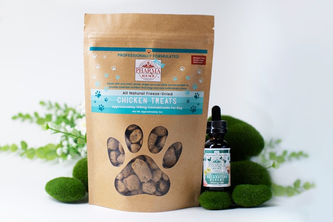 Google Ads for Pet Food Brands: A Comprehensive Setup Guide