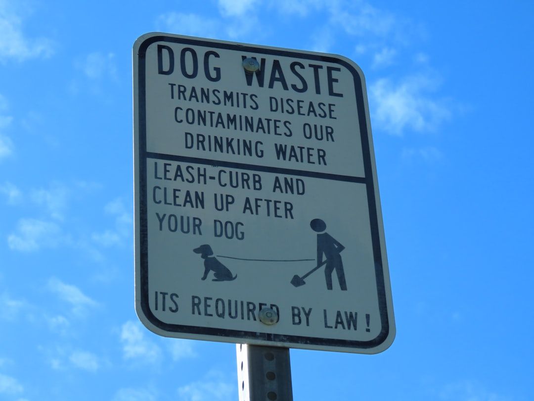 Google Ads for Pet Waste Removal: A Comprehensive Setup Guide