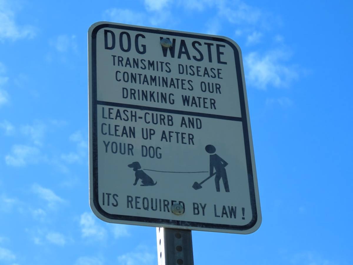 Google Ads for Pet Waste Removal: A Comprehensive Setup Guide