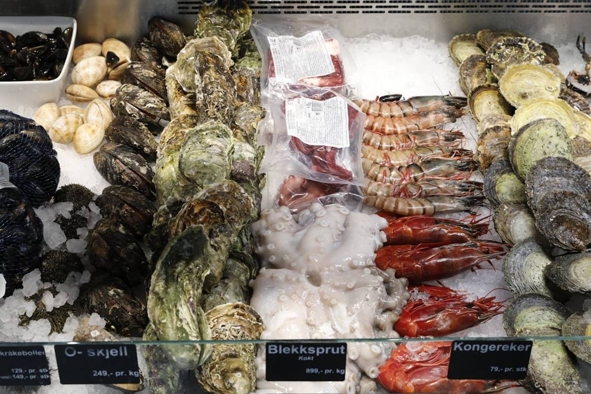 Google Ads for Wholesale Seafood: A Comprehensive Setup Guide