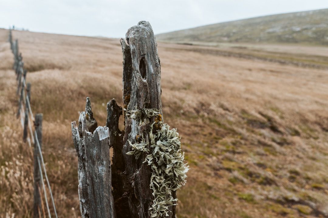 Google Ads for Fence Repair Services: A Comprehensive Setup Guide