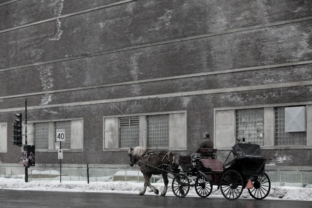 Google Ads for Horse Carriages: A Comprehensive Setup Guide