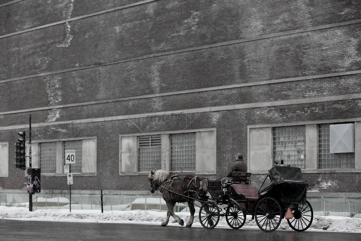 Google Ads for Horse Carriages: A Comprehensive Setup Guide